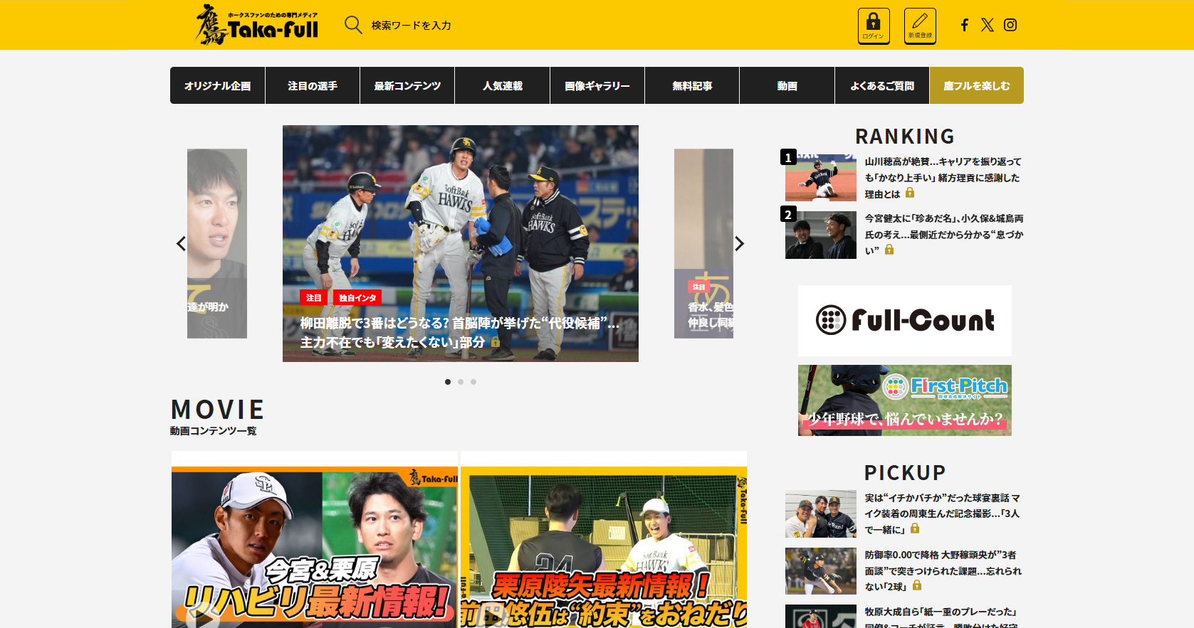 大規模メディアサイト解析・新規立ち上げ